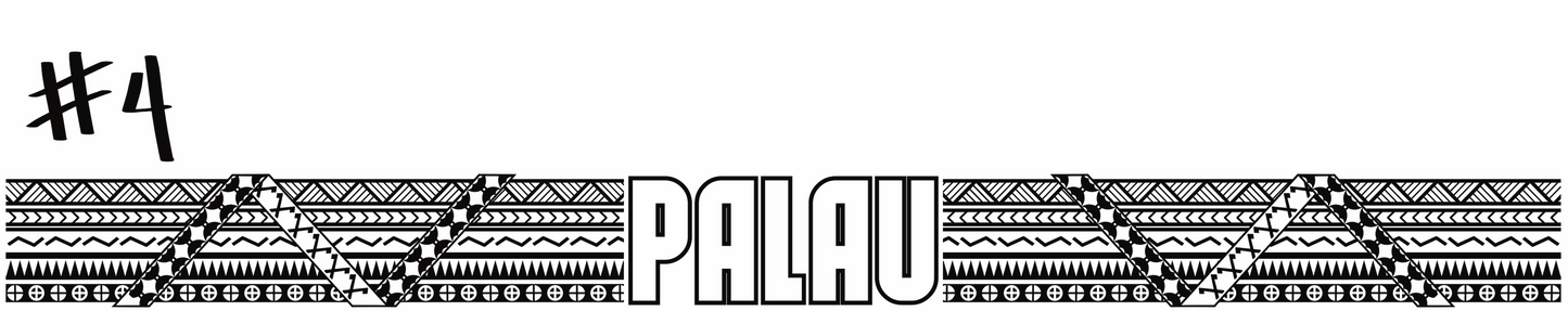 Rear Windshield Car Decal  | Please read Description